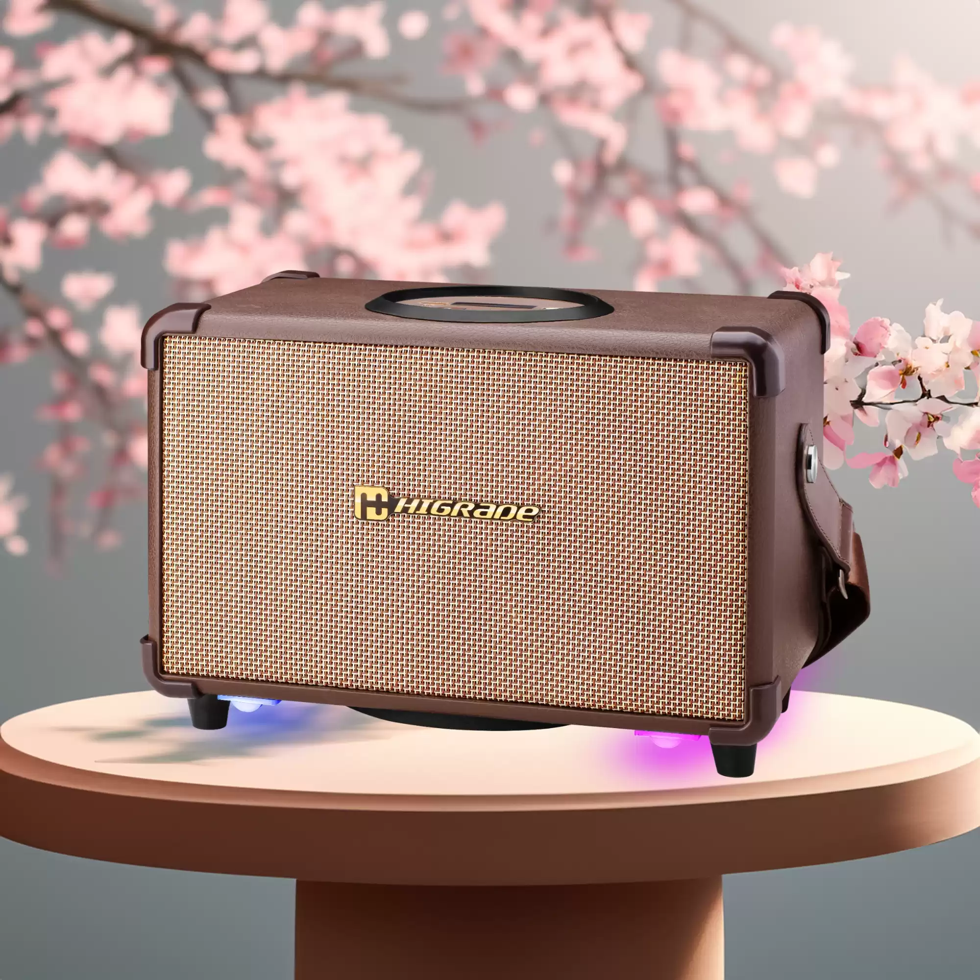 Portable Wireless speakers